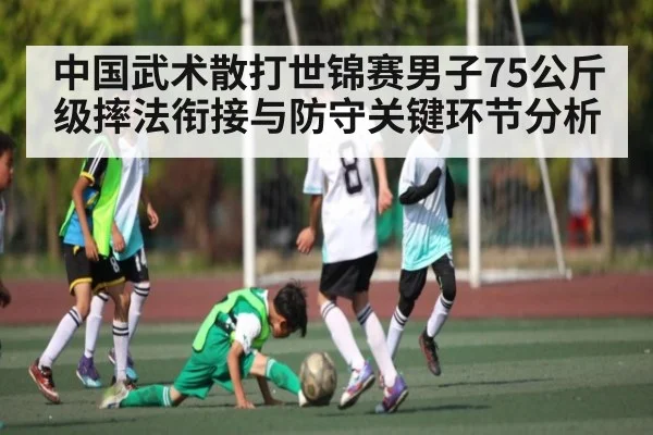 中国武术散打世锦赛男子75公斤级摔法衔接与防守关键环节分析