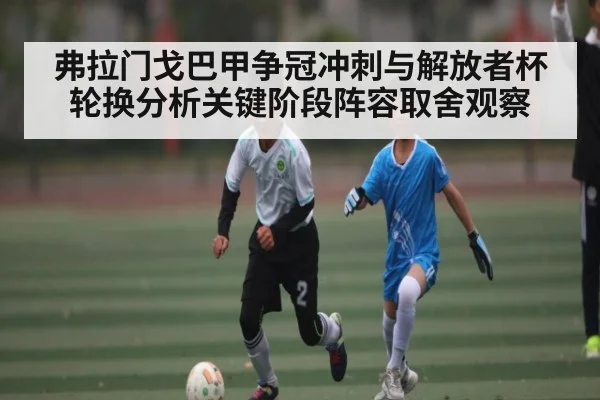 弗拉门戈巴甲争冠冲刺与解放者杯轮换分析关键阶段阵容取舍观察